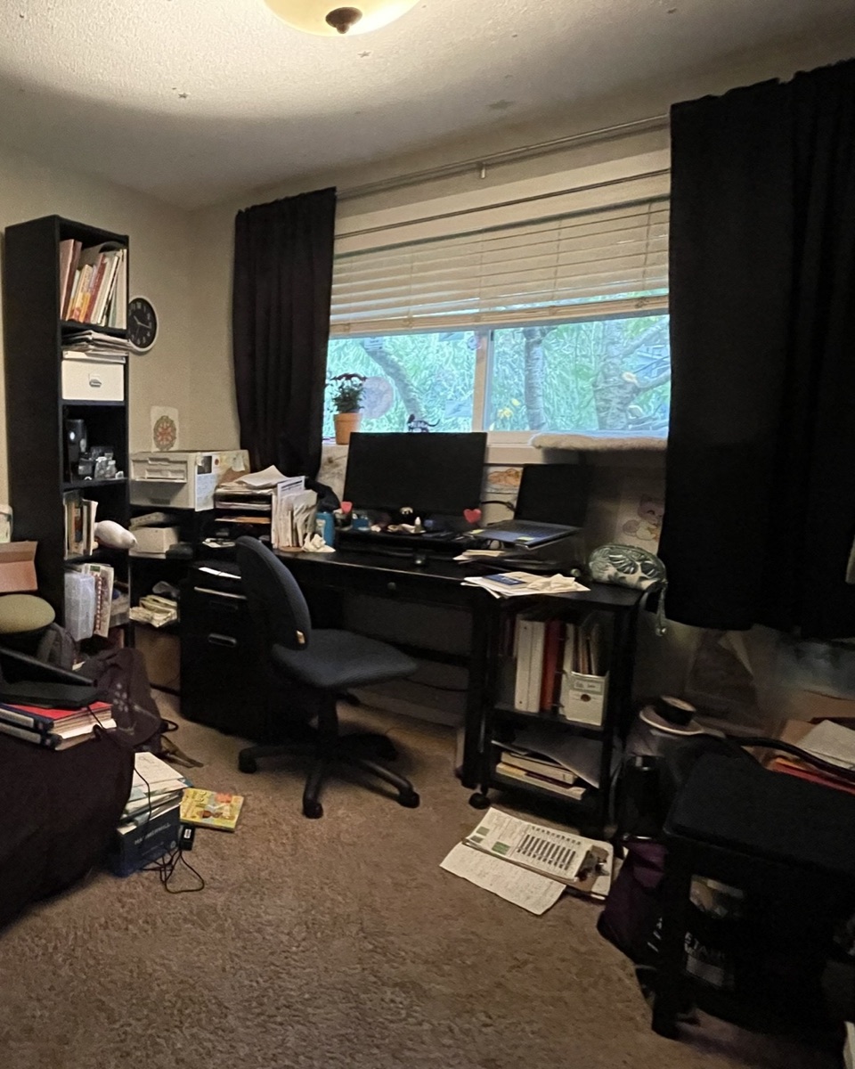 Home Office before organizing