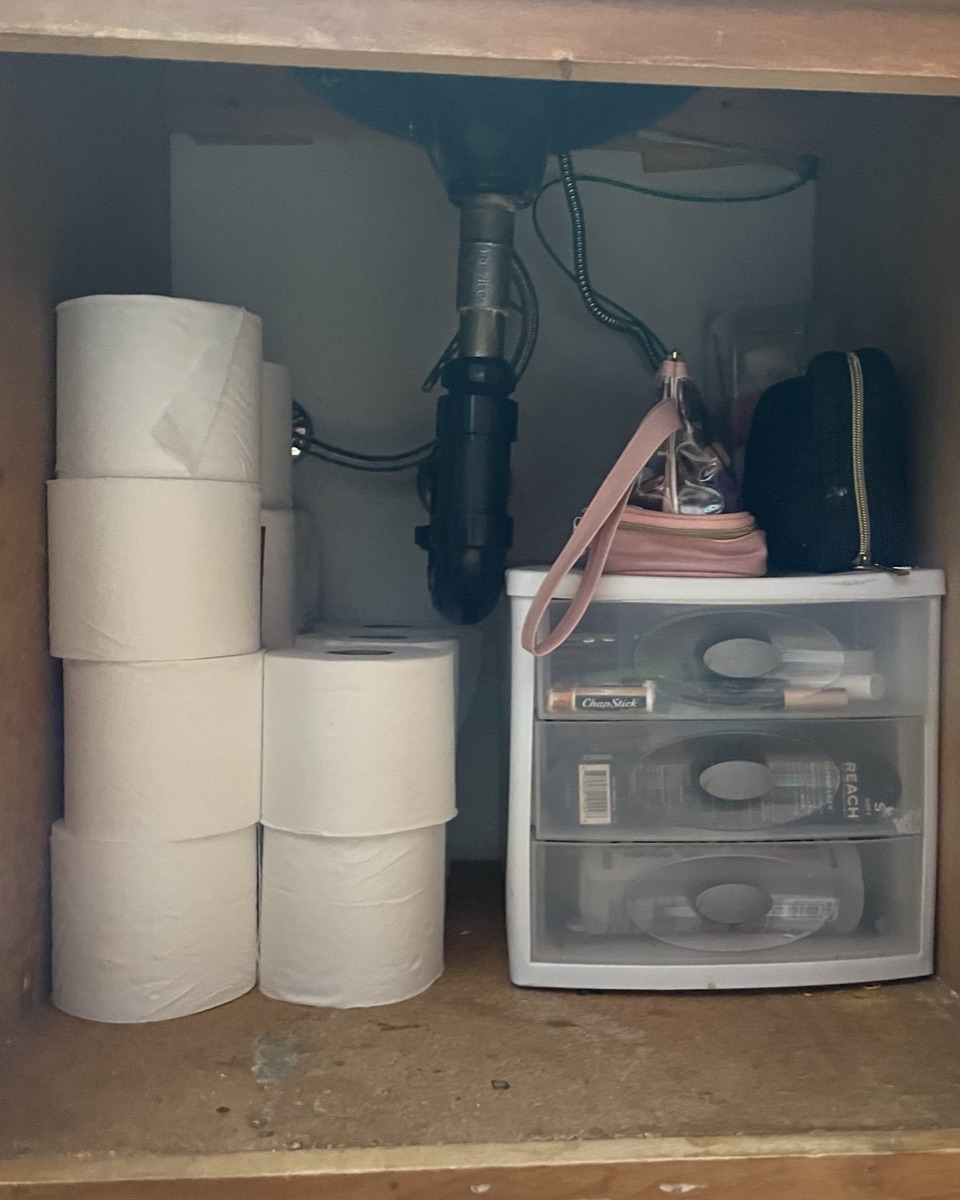 Under the Bathroom Sink after organizing