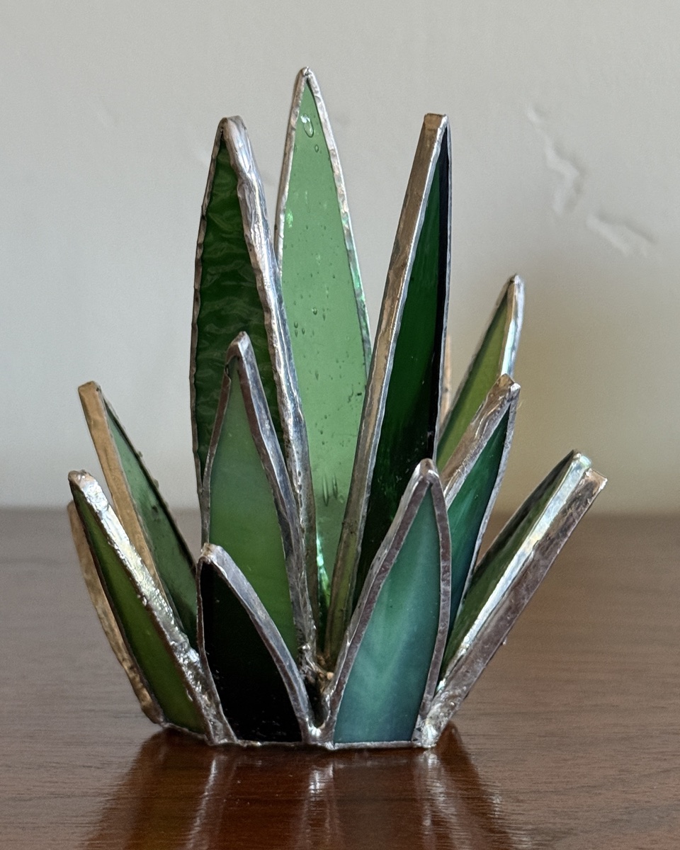 Agave