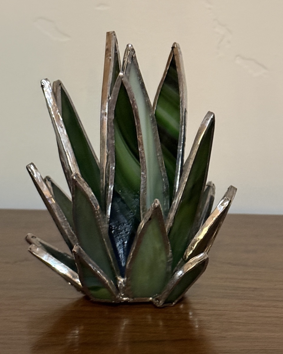 Agave
