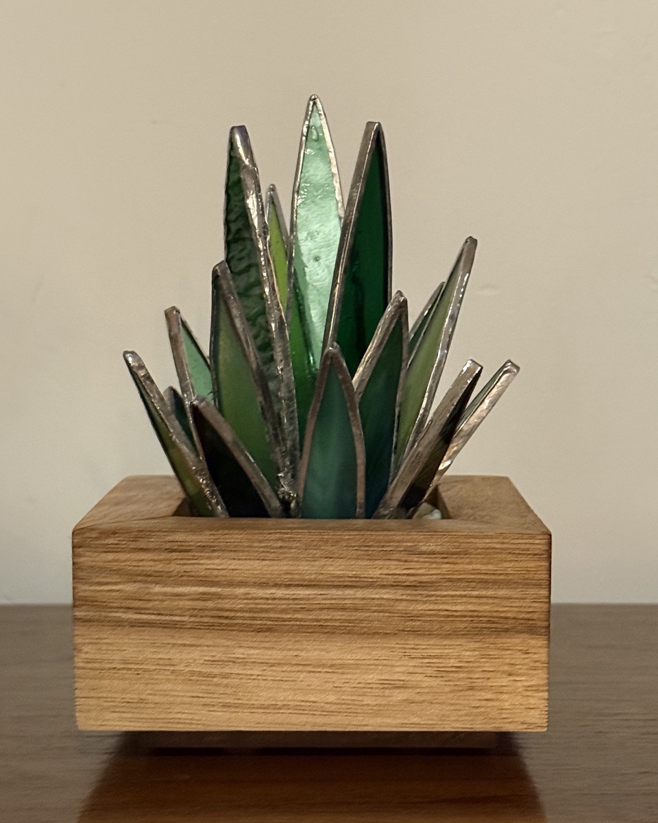 Agave in Wood Vase