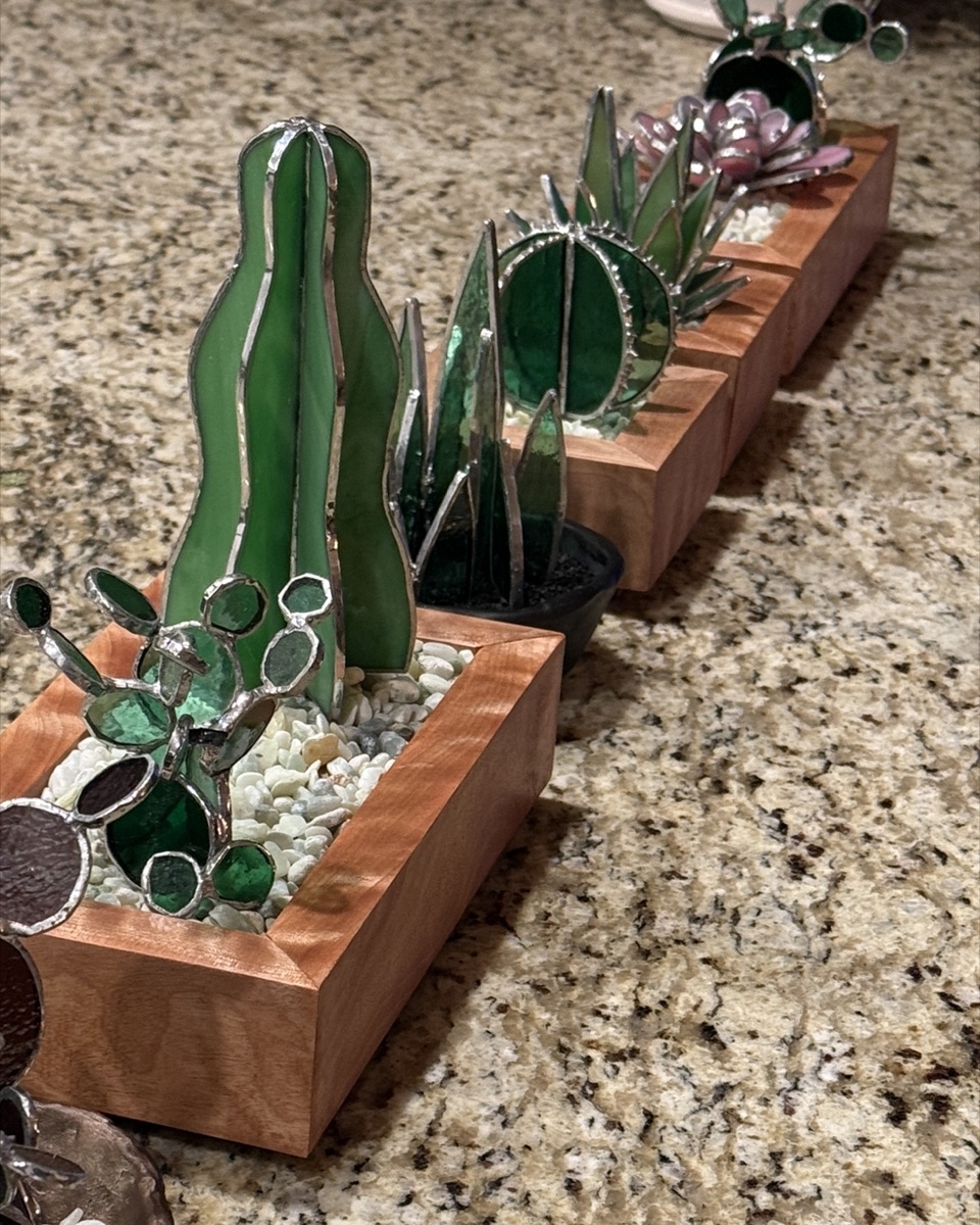Succulent Garden Row