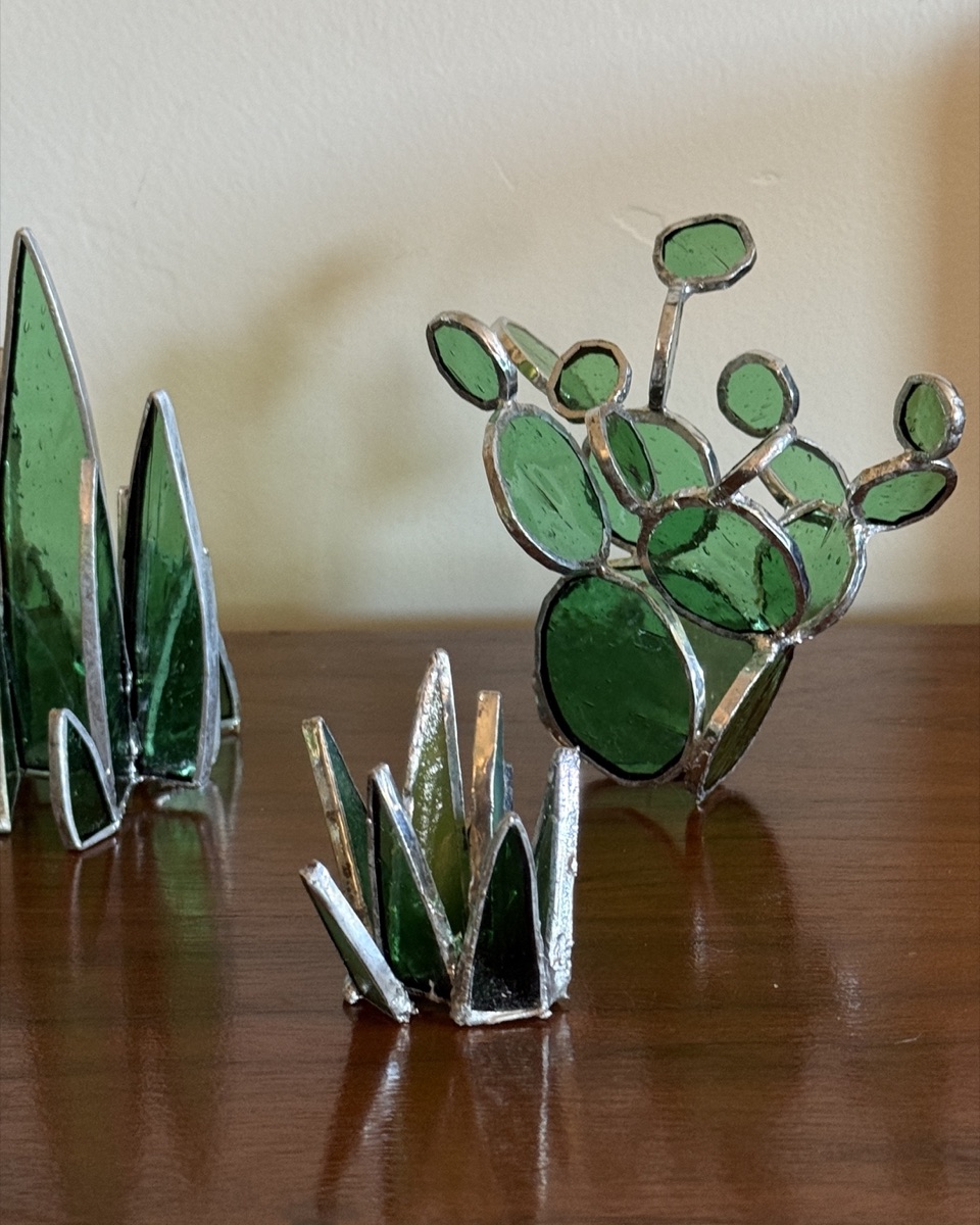 Prickly Pear & Agave, Close Up